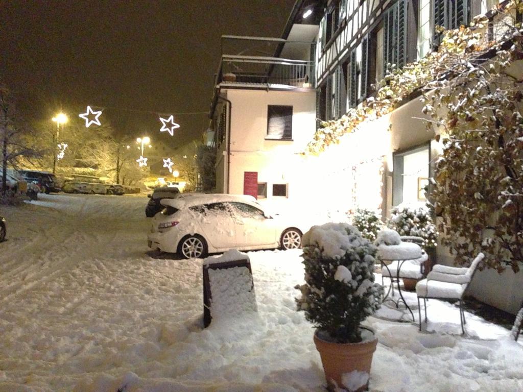 Hotel Rebe Herrliberg Bagian luar foto